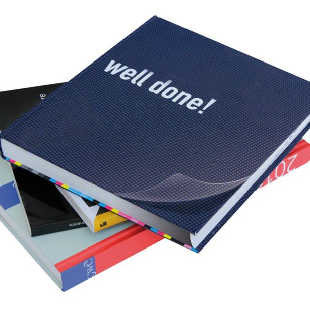 SAMOLEPILNA TAPETA D-C-FIX 67.5CM X 2M TRANSPARENT SIJAJ