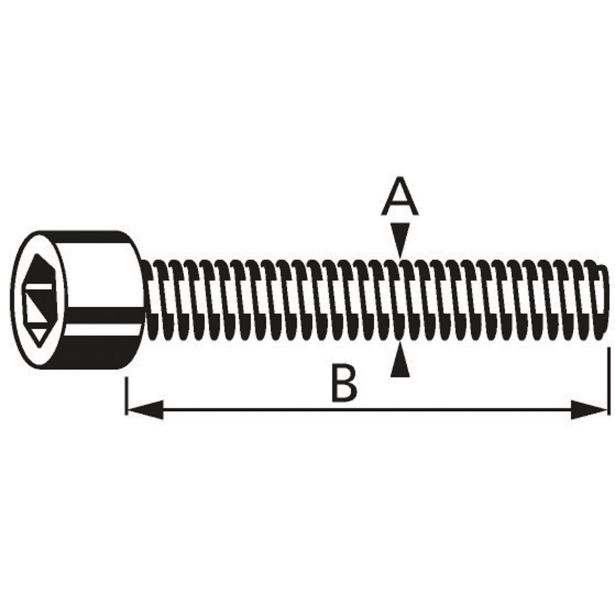 RF IMBUS VIJAK DIN912 6X30 A2F ZAV=4KOS