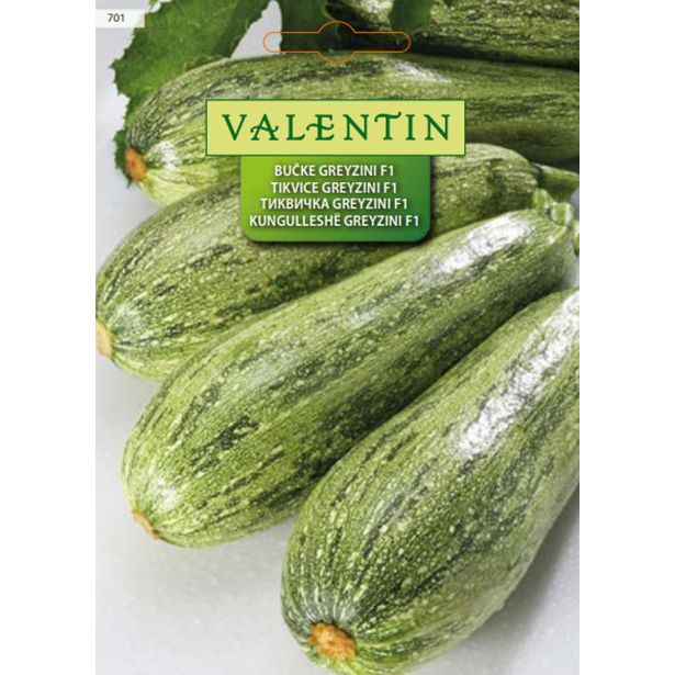 PLODOVKA VALENTIN 701 BUČKE GREYZINI F1