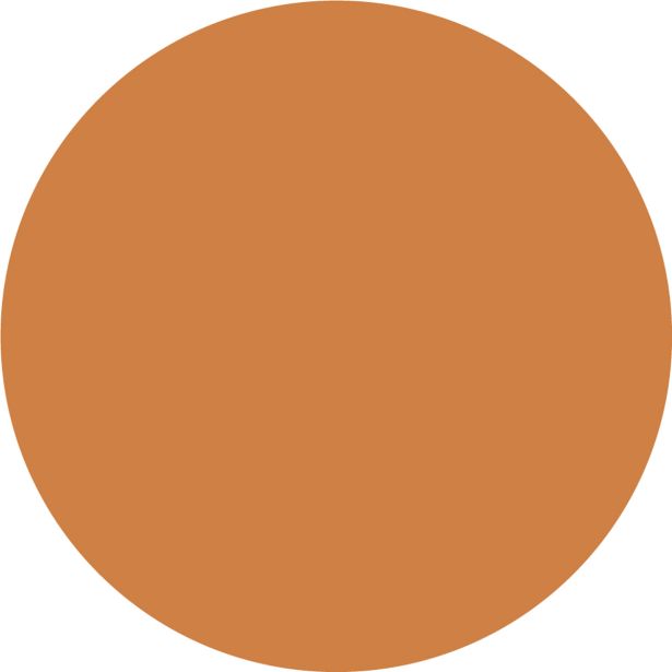 FASADNA BARVA JUB ACRYLCOLOR OKER 0.75 L