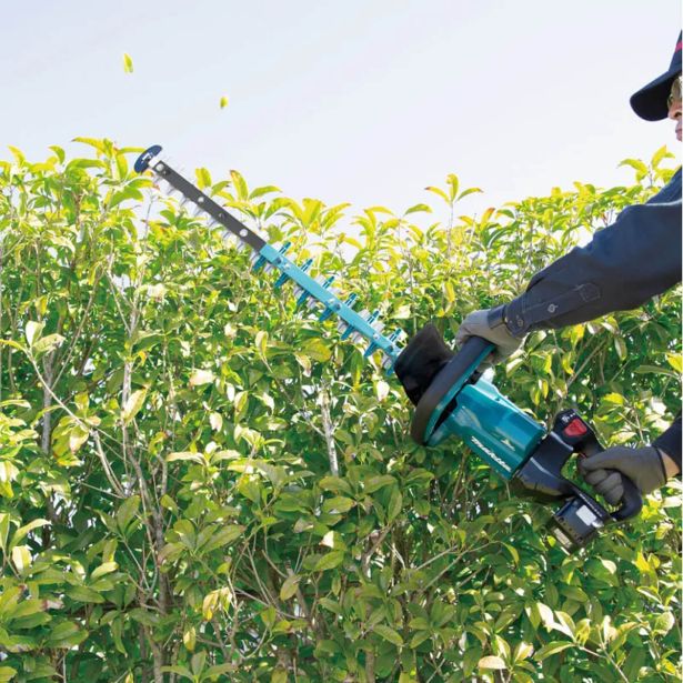 AKUM. ŠKARJE ZA ŽIVO MEJO MAKITA DUH601Z