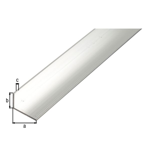 KOTNI PROFIL ALBERTS ALU 50X20X2X2600 MM