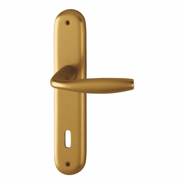 ALU KLJUKA ZA VRATA HOPPE NEW YORK S ŠČITOM KLJUČ F-4 8/9