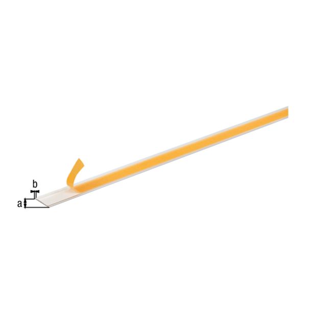 PLOSKA PALICA ALBERTS ALU, 20X2X1000 MM SIVO ELOKSORANA