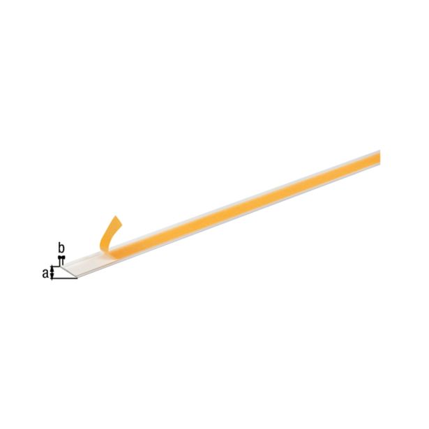 PLOSKA PALICA ALBERTS ALU, 30X2X2600 MM SIVO ELOKSORANA