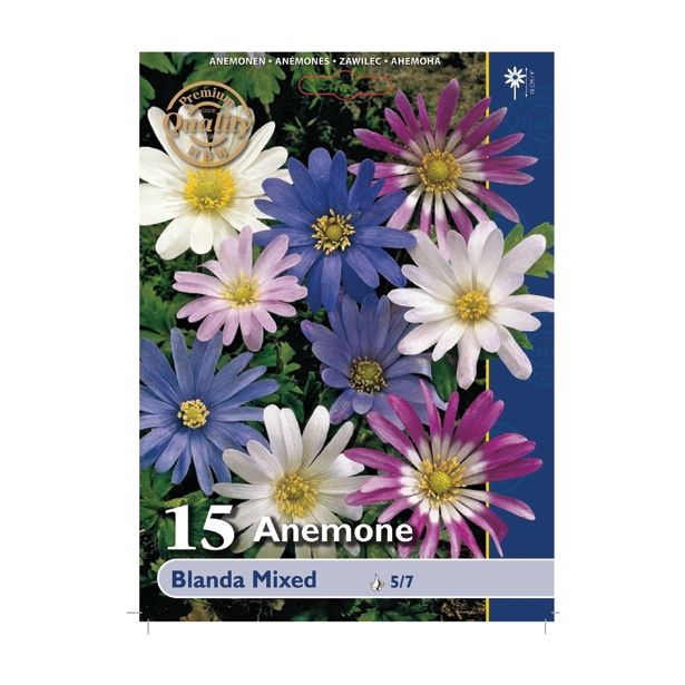 POLETI CVETOČA ČEBULICA HOLLAND BULB MARKET ANEMONE BLANDA MIXED 0