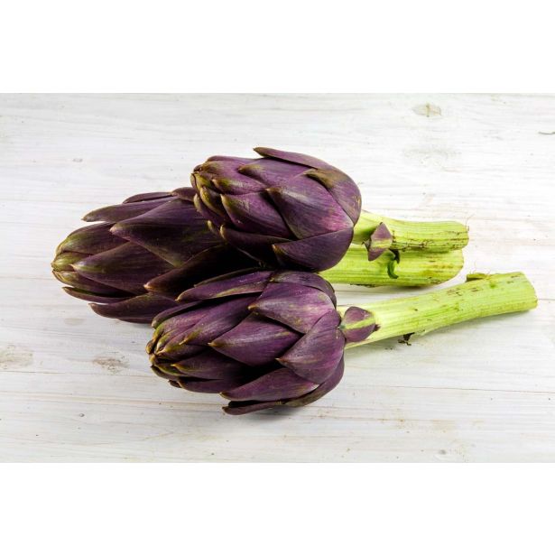 ZELENJAVNA SADIKA L'ORTO FRUTTIFERO ARTIČOKA DA SEME 1/1 L10