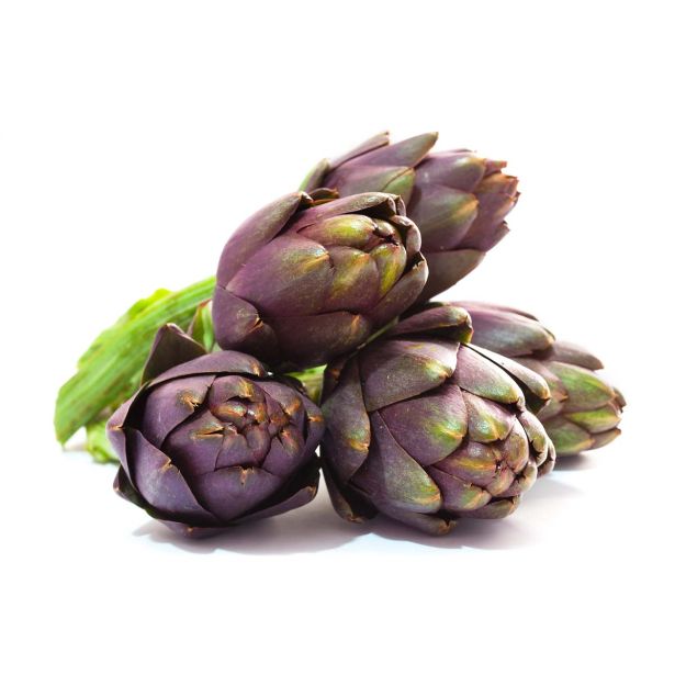 ZELENJAVNA SADIKA L'ORTO FRUTTIFERO ARTIČOKA TEROM 1/1 L10