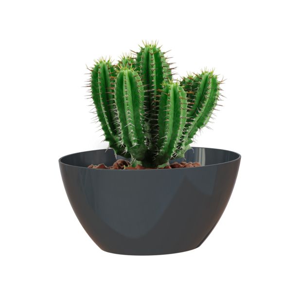 PE NOTRANJI LONEC BAHIA PLANT BOX ANTRACIT OVAL 22X13 CM