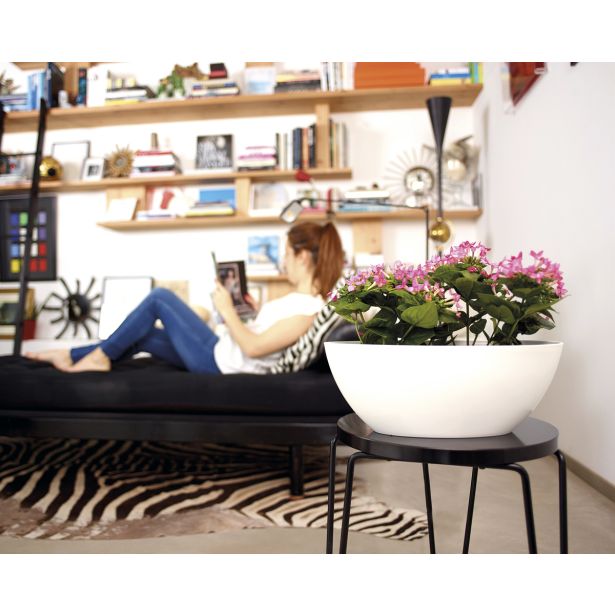 PE NOTRANJI LONEC BAHIA PLANT BOX BEL OVAL 45X17CM