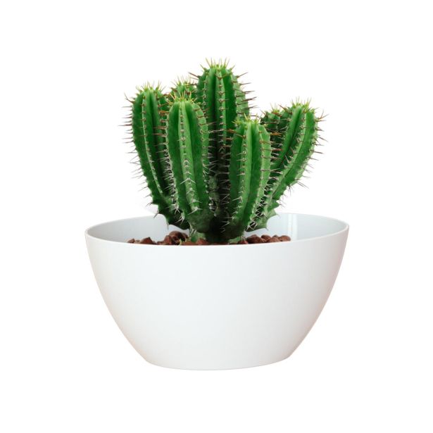 PE NOTRANJI LONEC BAHIA PLANT BOX BEL 35 X 17 CM VIŠ 13CM