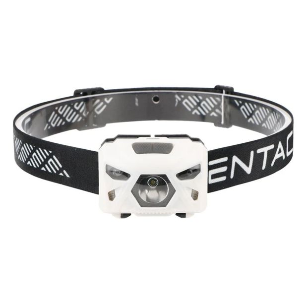 BATERIJSKA SVETILKA ENTAC 5W, S SENZORJEM, BELA