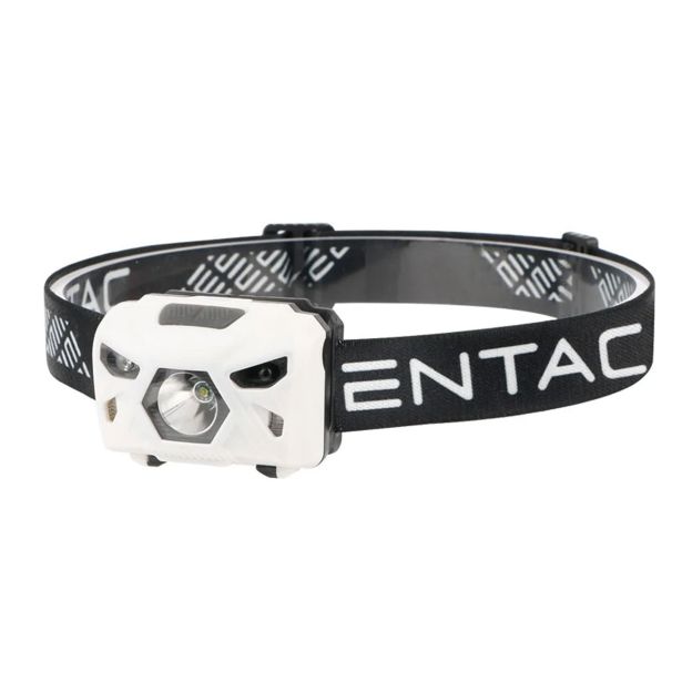 BATERIJSKA SVETILKA ENTAC 5W, S SENZORJEM, BELA