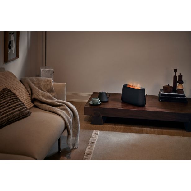 VLAŽILNIK ZRAKA STADLER FORM BEN BLACK