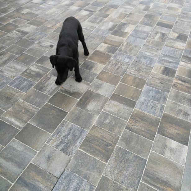 BETONSKI TLAKOVEC KOGRAD ELEGANCA MIX SAHARA