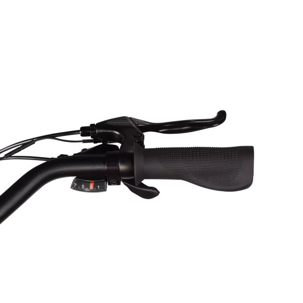 ELEKTRIČNO KOLO BIRD A FRAME GRANITNO SIVA