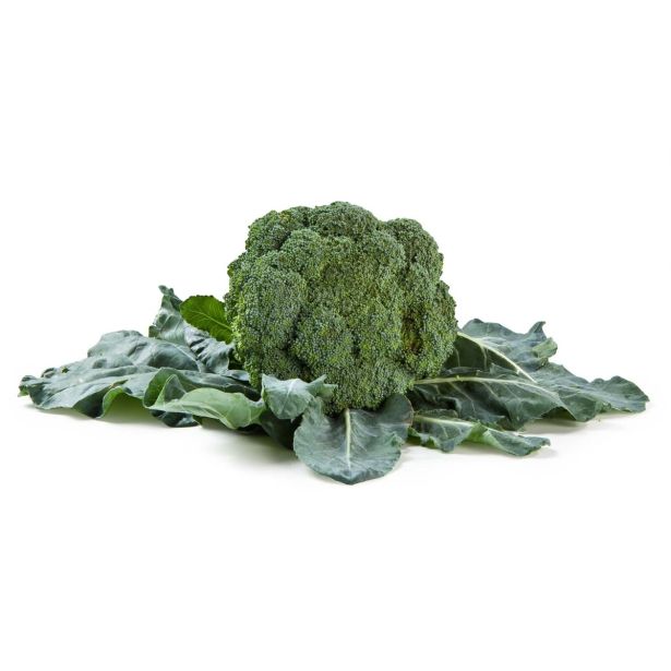 KAPUSNICE L'ORTO FRUTTIFERO BROKOLI 4/1 SPIRIDON F1 KULTIPAK