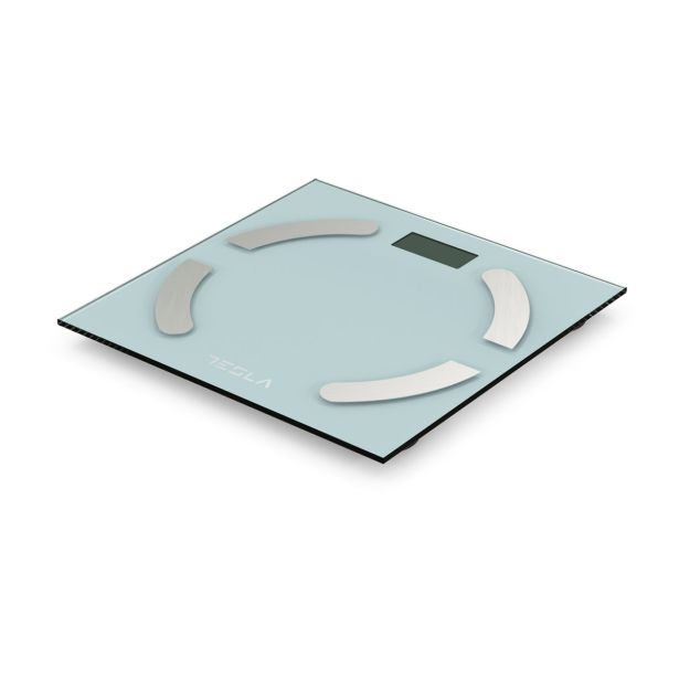 ELEKTRON. OSEBNA TEHTNICA TESLA BS301WX