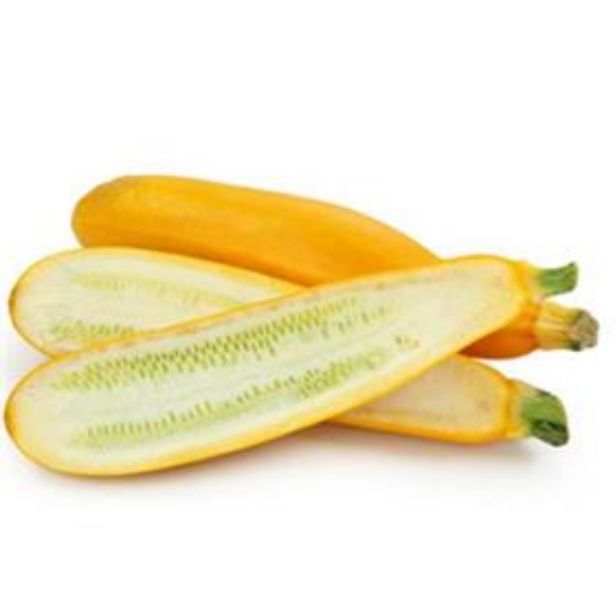 PLODOVKE DOBRO & ZDRAVO BUČKA SEBRING CEPLJEN RUMEN CUKINI