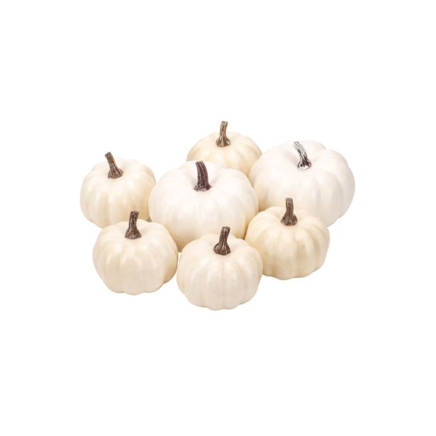 JESENSKA DEKORACIJA GLOSSTYLE BUČKE BELE