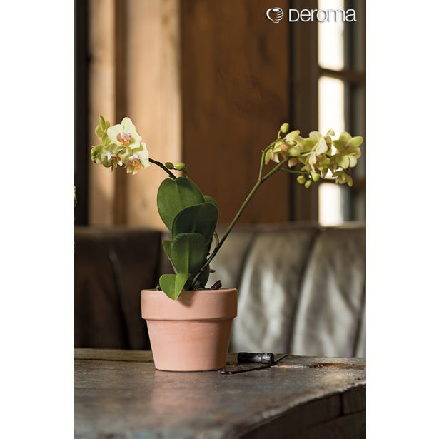 GLINENI ZUNANJI LONEC DEROMA CACHEPOT PERFETTO BELJEN 11 CM