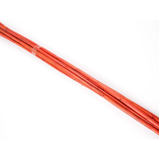 UMETNO CVETJE CANA WILD PALICE BARVANE 10 KOS