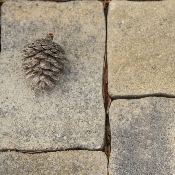 BETONSKI TLAKOVEC SEMMELROCK CASTELLO ANTICO BREZ IMITAC. 18, CM LAVA SIV