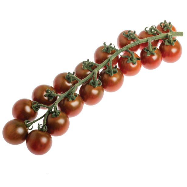 PLODOVKE VOLMARY CEPLJEN PARADIŽNIK SOLENA SWEET CHOCO