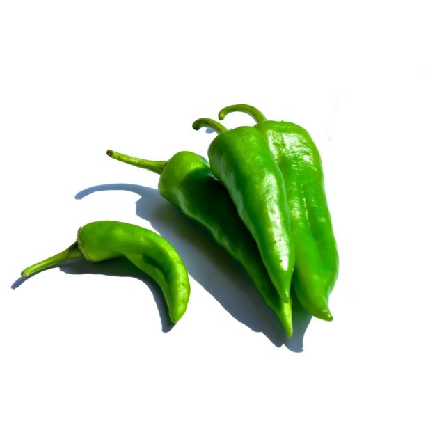 PLODOVKE L'ORTO FRUTTIFERO ČILI 1/1 FATALII GREEN L14