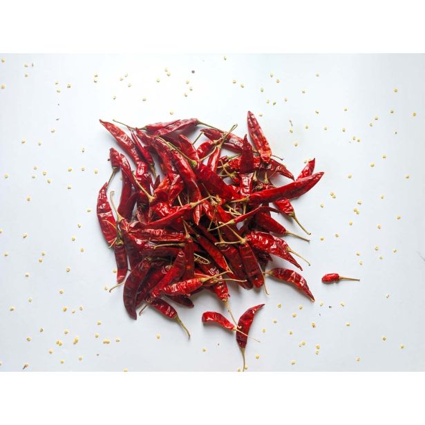 PLODOVKE L'ORTO FRUTTIFERO ČILI 4/1 CALABRESE F1 KULTIPAK