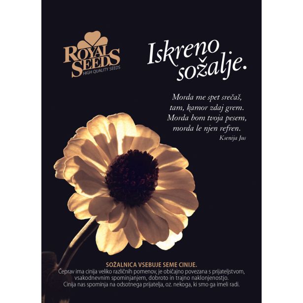 CINIJA ROYAL SEEDS SOŽALNICA