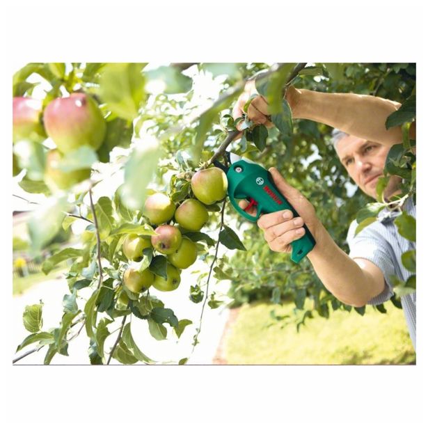 AKUMULATORSKE ŠKARJE ZA ŽIVO MEJO BOSCH CISO TIN