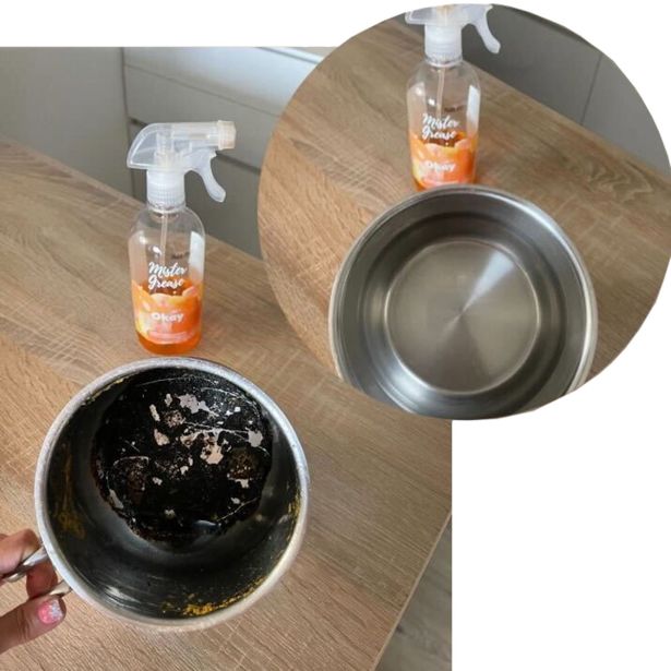 ČISTILO ZA RAZMAŠČEVANJE OKAY MISTER GREASE