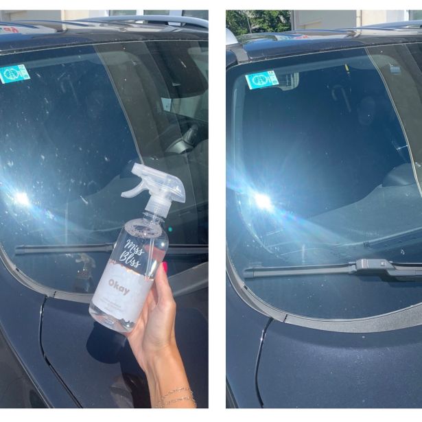 ČISTILO ZA STEKLO OKAY MISS BLISS