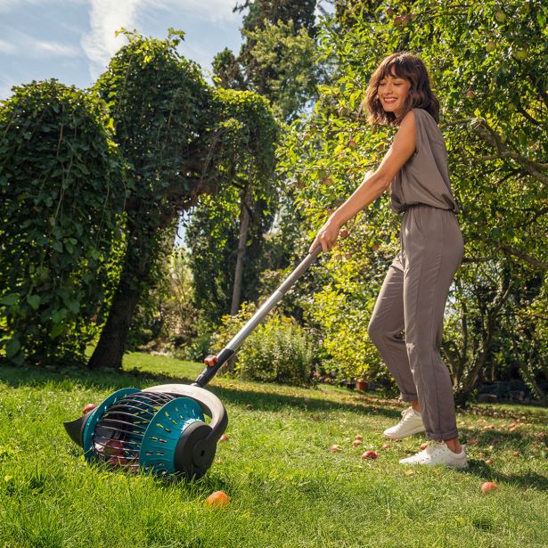 COMBISYSTEM POBIRALEC SADJA