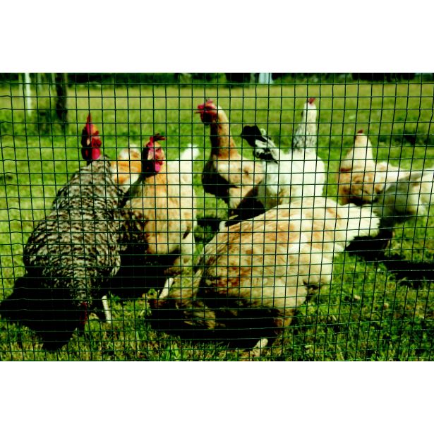 VARJENA OGRAJNA MREŽA CORAL 0.9X12.7X500 MM