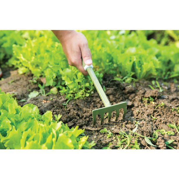 CVETLIČNO ORODJE WORTH GRABLJICE 5 ZOB