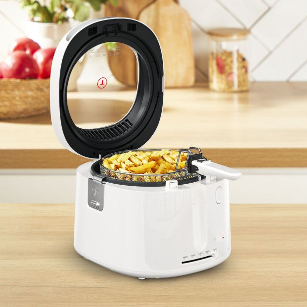 CVRTNIK NA OLJE TEFAL FF2541E0