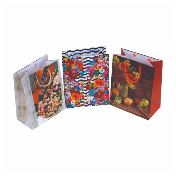 DARILNA VREČKA EKO ART C 264X136X327 MM