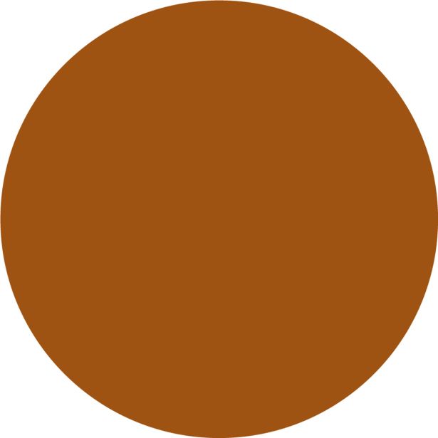 DEKORATIVNA BARVA JUB DECOR ACRYLCOLOR BRONASTI 5003 0.75 L