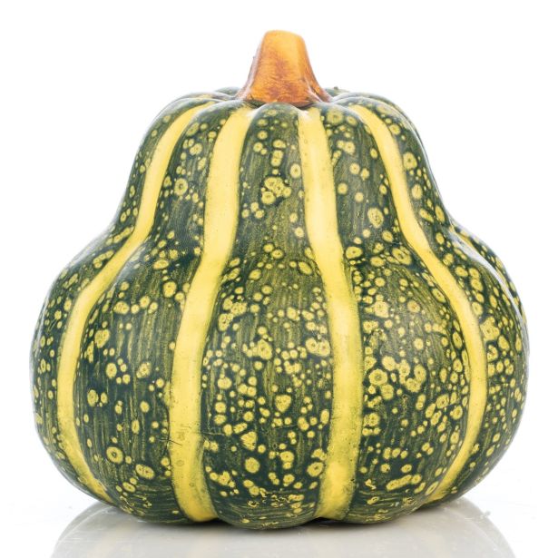 JESENSKA FIGURA GLOSSTYLE BUČA FI 12 CM ZELENA KERAMIČNA