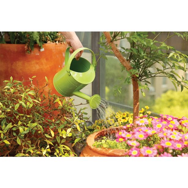 DEKORATIVNA ZALIVALKA WORTH 1.5L KOVINSKA ZELENA