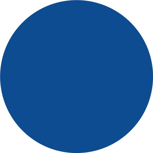 NIANSIRNO SREDSTVO JUB DIPI KONCENTRAT MODRI 100 ML