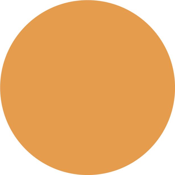 NIANSIRNO SREDSTVO JUB DIPI KONCENTRAT OKER 100 ML