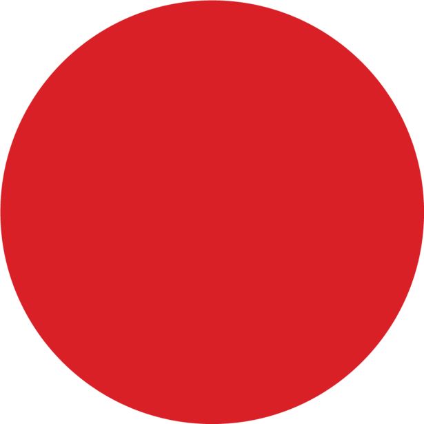 NIANSIRNO SREDSTVO JUB DIPI KONCENTRAT RDEČI 100 ML