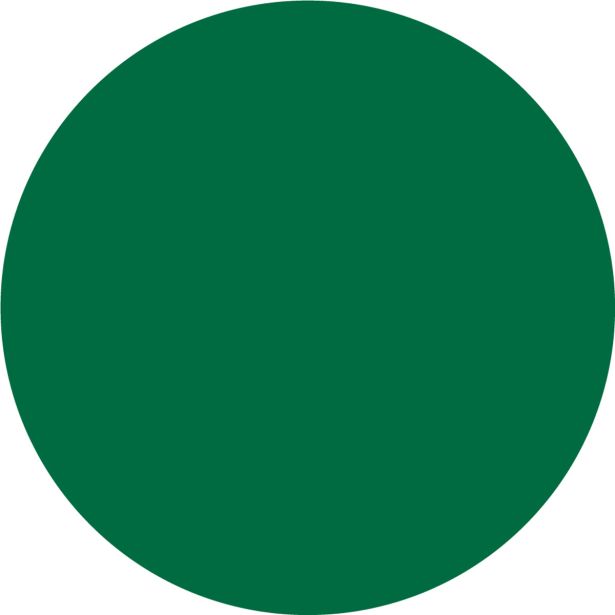 NIANSIRNO SREDSTVO JUB DIPI KONCENTRAT ZELENI 100 ML