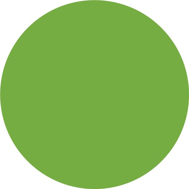 NIANSIRNO SREDSTVO JUB DIPI SUPER COLOR PISTACIJA 70 100 ML