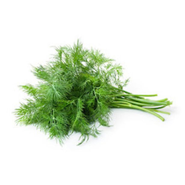 DIŠAVNICA KOPER L10 CM