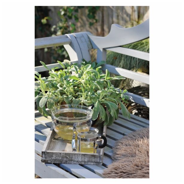 DIŠAVNICA VOLMARY GRŠKI PLANINSKI ČAJ 12 CM