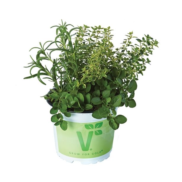 MIX DIŠAVNIC IN ZELIŠČ VOLMARY TRIO PIZZA MIX L19